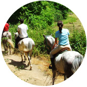 horseback riding