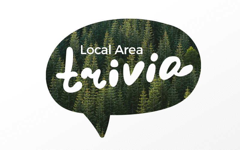 Travel Trivia